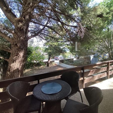 Danica Holiday House 策萨利卡 外观 照片
