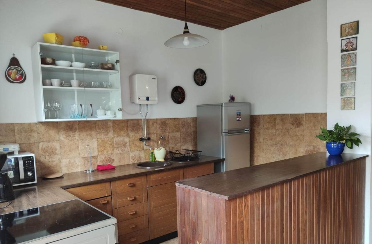 Danica Holiday House 策萨利卡 外观 照片