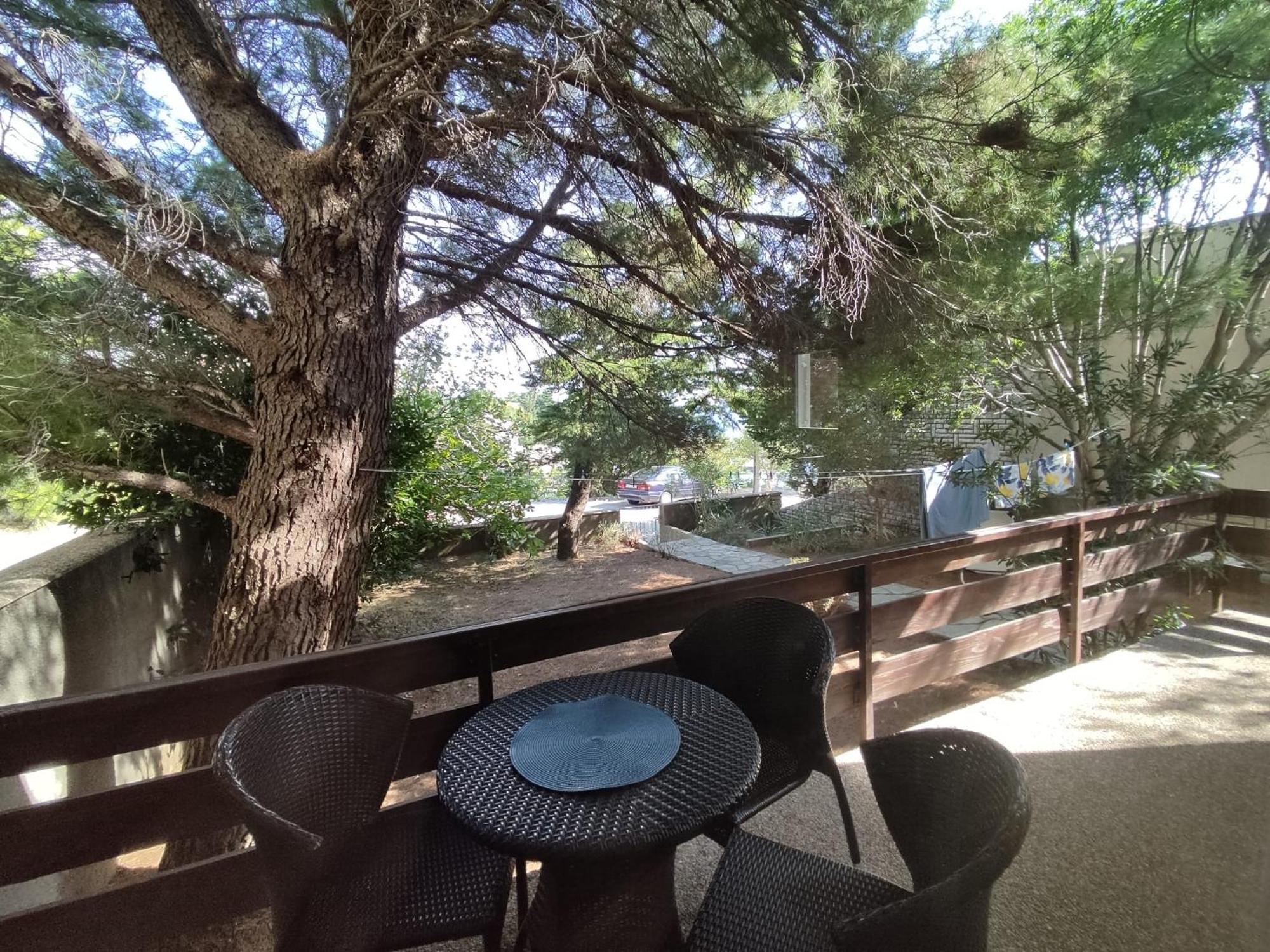 Danica Holiday House 策萨利卡 外观 照片