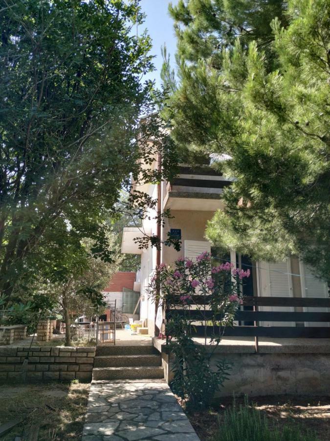 Danica Holiday House 策萨利卡 外观 照片