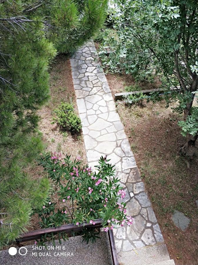 Danica Holiday House 策萨利卡 外观 照片